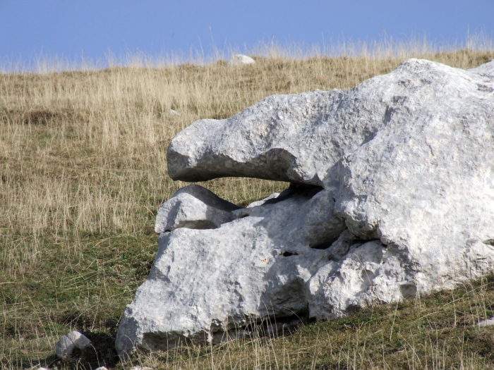 Sculture naturali